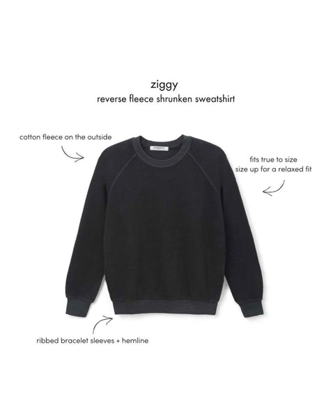 Ziggy- Inside Out Sweatshirt